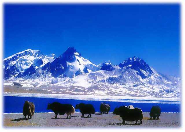RLTGo's tweet photo. Read on 1 of the most beautiful states of #India and its best places to see. http://t.co/SjhKQGnCnL #InherentlyIndian http://t.co/4UDCzNbzhE