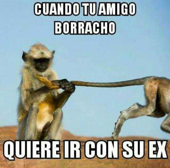 zappinternet's tweet photo. Amigos de verdad! http://t.co/ySGHpkca5w