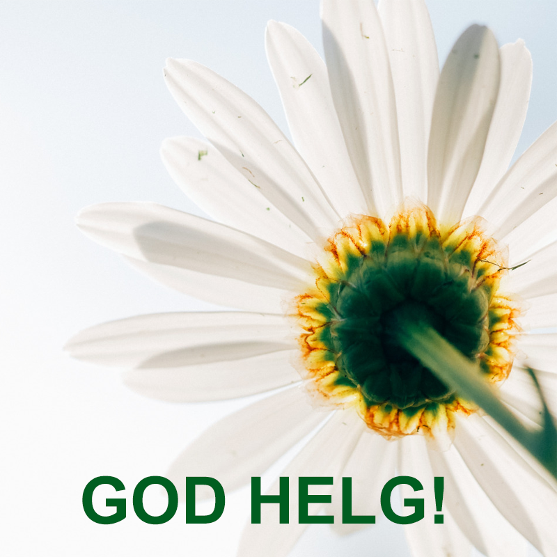 Vi i <a href="/Bio365_no/">Bio365no</a>​ ønsker deg en #GODHELG! 🔆