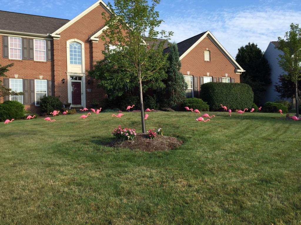 brookesinger27's tweet photo. S/o to @prhstubas for a great flock http://t.co/2NLMMfHiLO