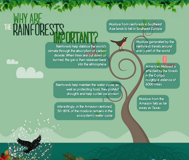 why are rainforests so important Why are rainforests important the rainforest is important for numerous reasons located between the equator 235 degrees north and south, rainforests have two seasons, rainy season and dry season. why are rainforests so important Why are rainforests important the rainforest is important for numerous reasons located between the equator 235 degrees north and south, rainforests have two seasons, rainy season and dry season.
