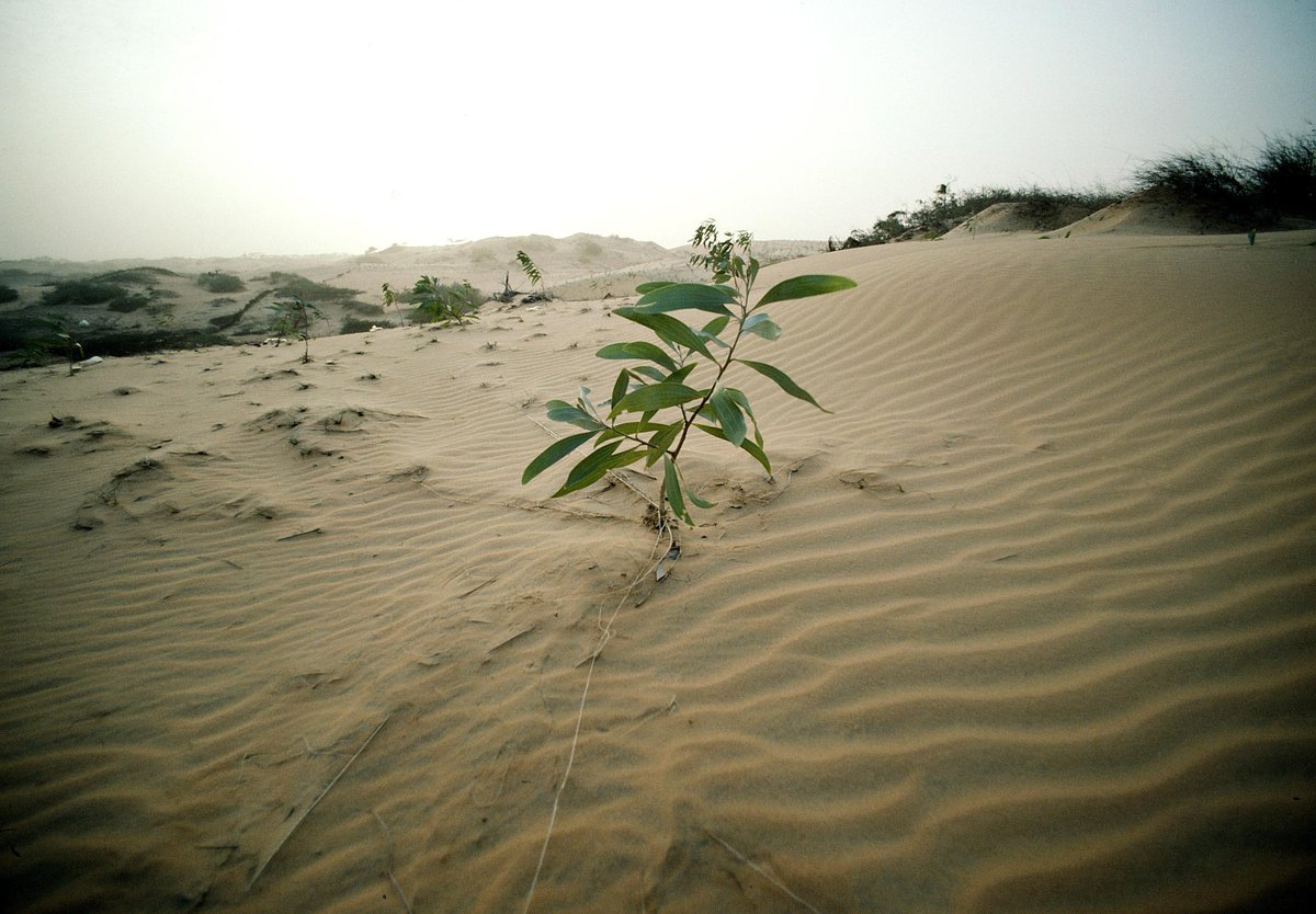 Do you want #COP21 to be a success for people &amp; planet? Support our call for a greener future ow.ly/QL3MH