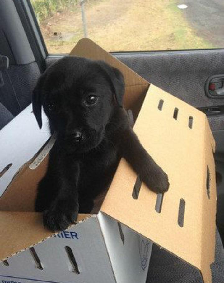 This would be the best present ever 😍