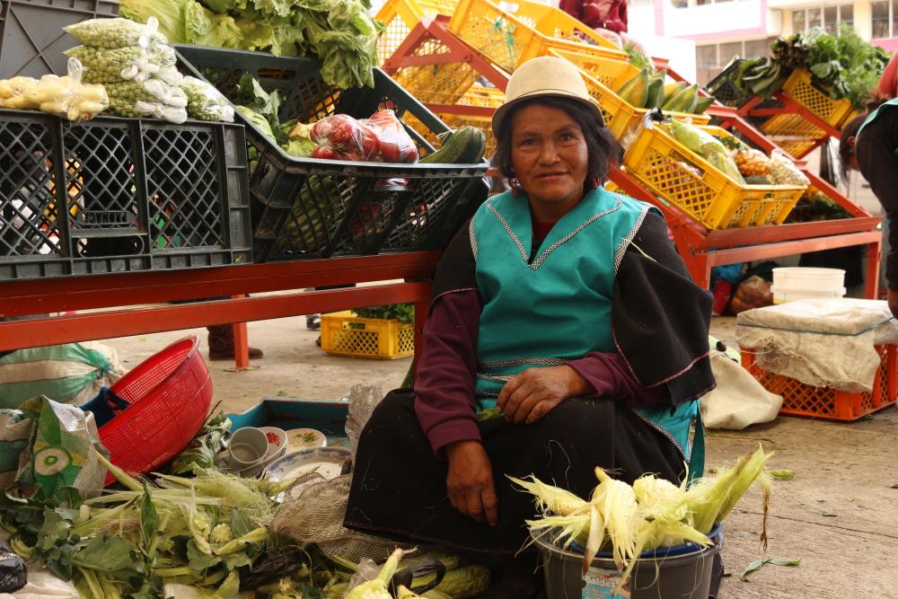 TriasAndes's tweet photo. Todos los sábados l@s soci@s de PACAT venden sus #hortalizasagroecológicas en la Plaza Pachano en Ambato http://t.co/ITlXP6jey6