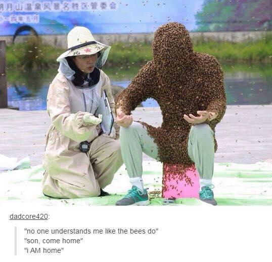 HsMetu's tweet photo. When we spent too much time in lab... #METUHSiGEM #Sciencevshumor #iGEMSpirit #buzz #hardworkingbees http://t.co/4e275HTLcv