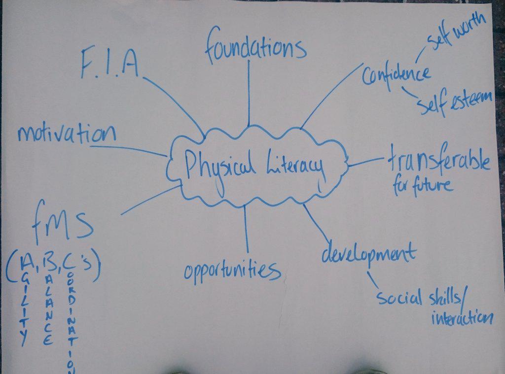 AidanActify's tweet image. Learning on #physicalliteracy presented by play workers #go2play #activeplay training with @InspiringSland