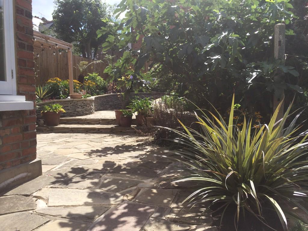 West hampstead garden on the sunshine #paddlestonewall #curvedwalls #gardendesign #belsizegardens