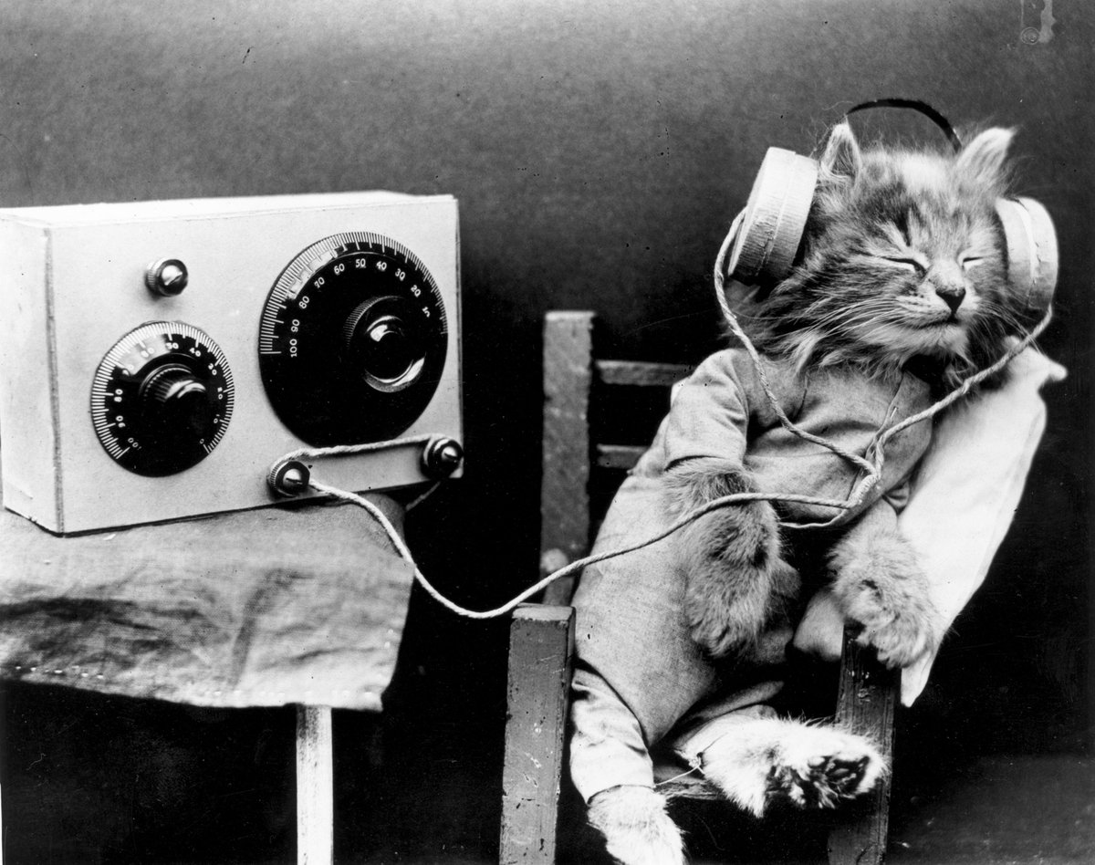 Eliminar Color de malva Embrión verne on Twitter: "Un gatito con auriculares para escuchar la radio, 1926. (©Getty) #FotosPorqueSí #GATITOCUQUI ❤ http://t.co/2HtMem3P5I" / Twitter Eliminar Color de malva Embrión verne on Twitter: "Un gatito con auriculares para escuchar la radio, 1926. (©Getty) #FotosPorqueSí #GATITOCUQUI ❤ http://t.co/2HtMem3P5I" / Twitter