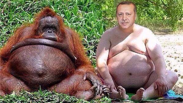 Laaannn😂😂😂

(Binayı salladım)