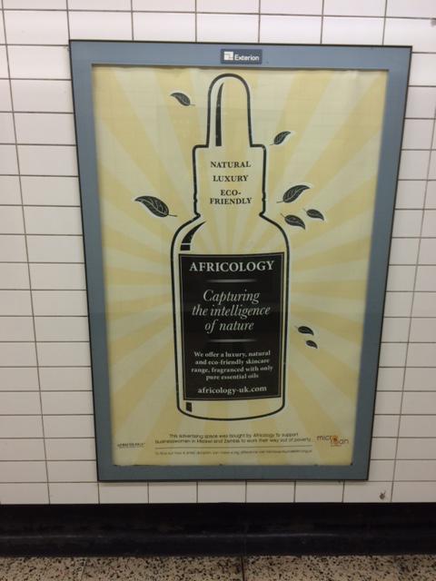 Umundu_uk's tweet photo. @MicroLoan our poster is at Charing Cross #SeeAPosterHelpABusiness http://t.co/H6QfGqvf8F