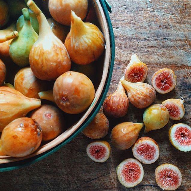 Figenza's tweet photo. #FigFactFriday: In Roman times #figs were considered to be restorative. Photo by @breezylake http://t.co/MrMIZ0q5gQ