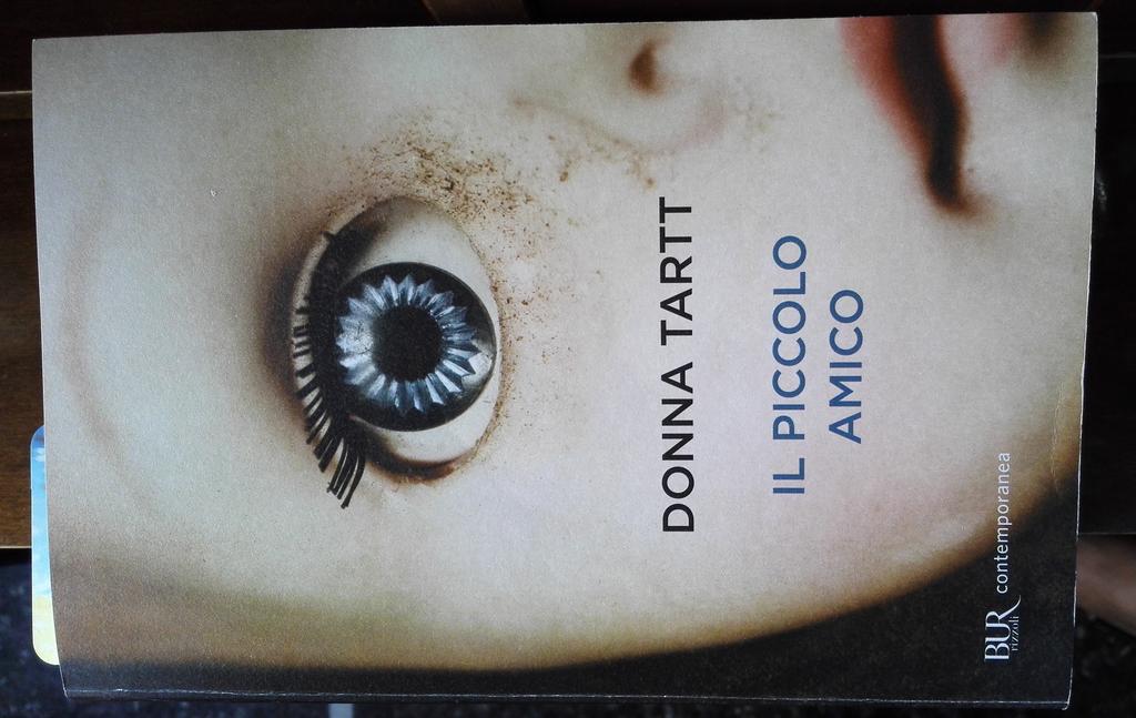 gemma_galli's tweet photo. @garzantilibri @illibraio #LibroperlEstate Il mio #IlPiccoloamico di #DonnaTartt Così li ho letti tutti @BUR_Rizzoli http://t.co/QHIoFsYLtp