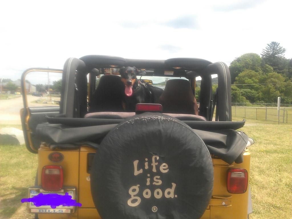 jeepgrl18's tweet photo. 2.84 mile run with a happy #doberman!  #jeeplife http://t.co/wPtHrEpLa2
