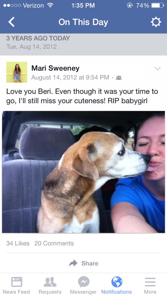 mari_sweeney's tweet photo. Miss my Beri girl #bestdogever #mems http://t.co/B5T6aoJG3f