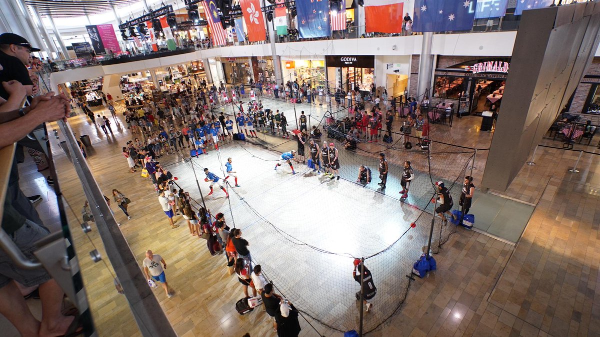 Nationale DodgeBall Teams Nederland