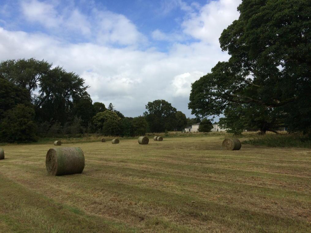 #Ireland #Strokestown. Someone's been making hay while the sun briefly shone. #StrokestownParrkHouse #FamineMuseum.