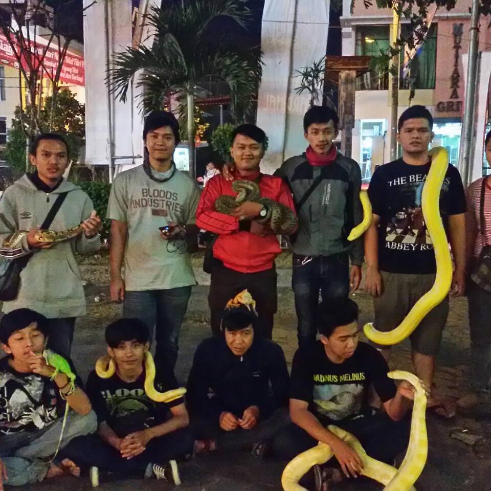 Pecinta Reptil Garut tweet media