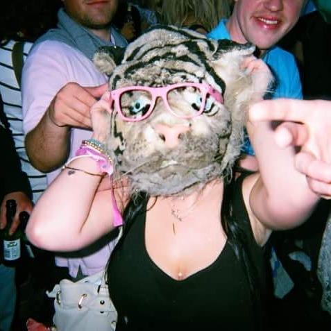 KatieEHarkins's tweet image. T: I want @skiddle to send me to @bestival with @ukappliances &amp;amp; @TellTails2012 because #WeekendsMatter #kitty