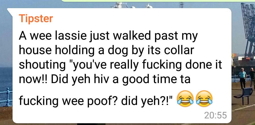 borderman67's tweet photo. It's a dugs life in Greenock 
#dugslife http://t.co/tSPz6abuA6