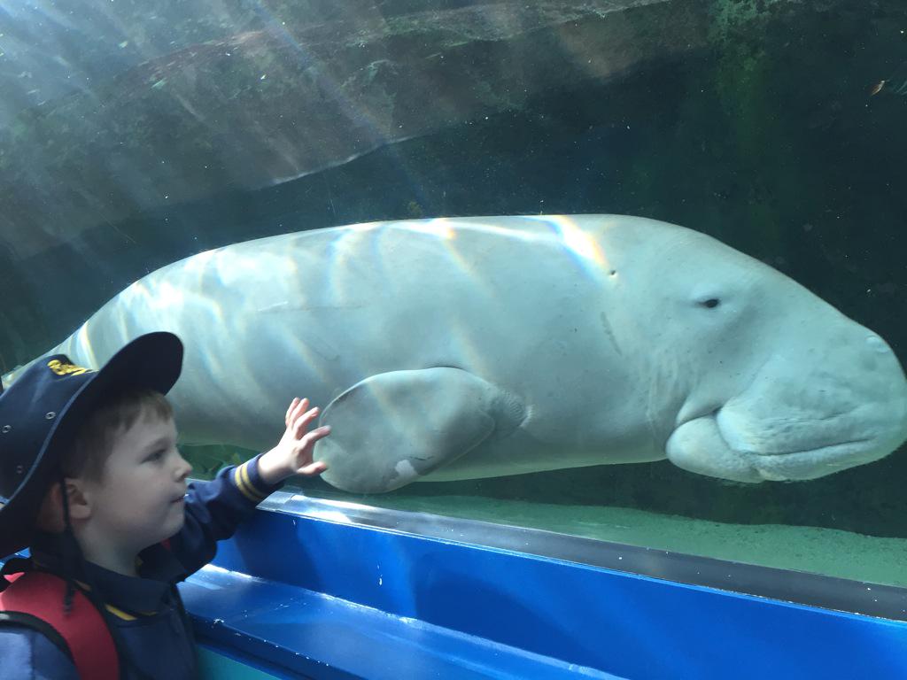 Fabulous Stage 1 Sydney Aquarium excursion 🐠🐟🐙🐬🐚