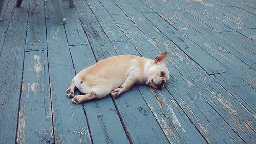 MikeD_7's tweet photo. Current mood http://t.co/syz7tDzh7K