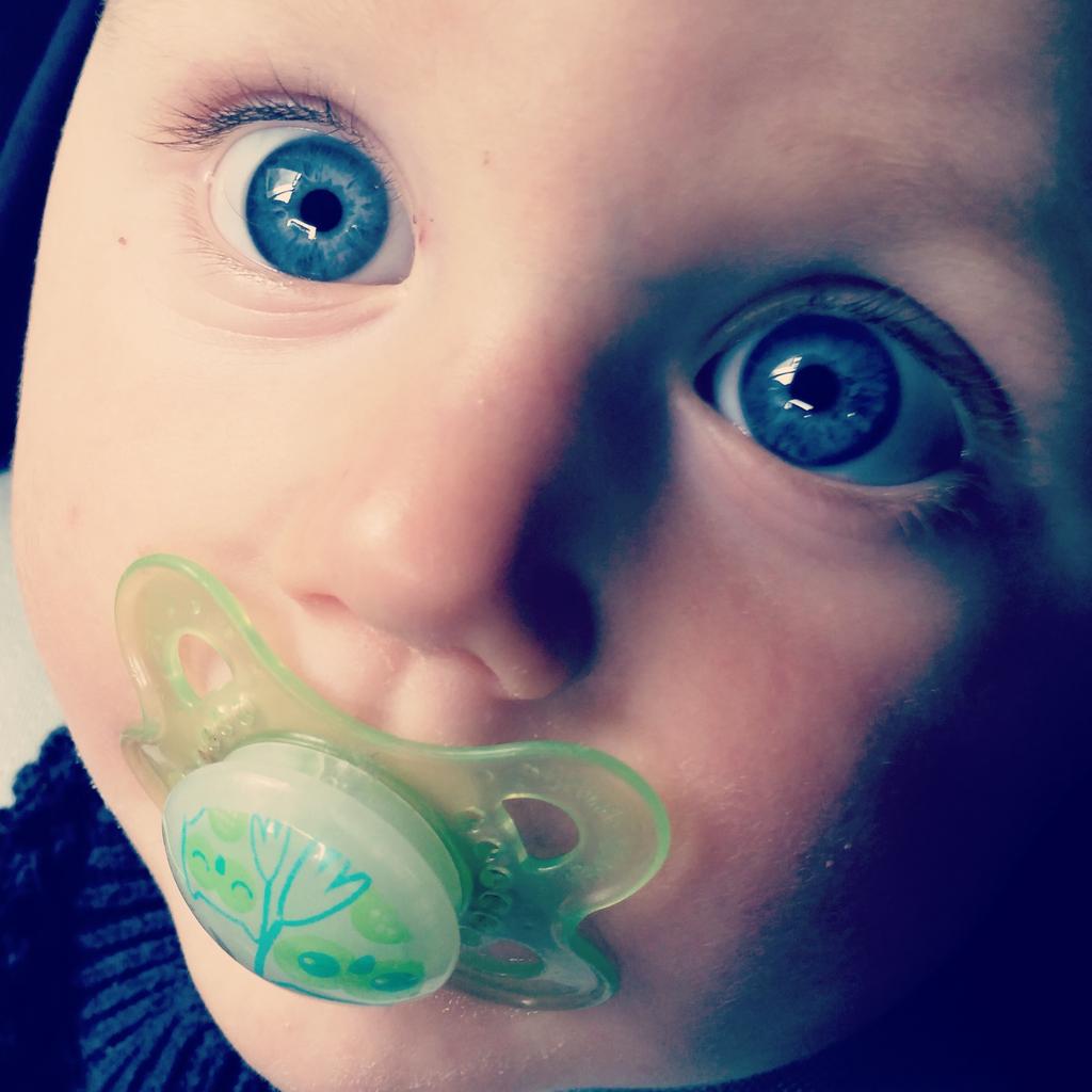laura9560's tweet photo. Old Blue eyes ♡ http://t.co/4EEmBw8Avc