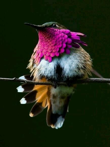 bullbarg's tweet photo. @MarionSpekker http://t.co/gIdoT0EOyo