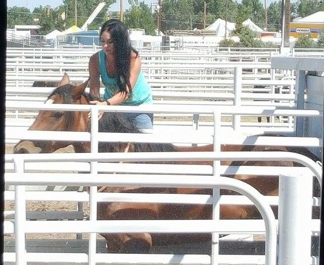 Yesterday I got to work on Big Prize, 3X NFR bareback horse owned by Franzens of Powder River Rodeo