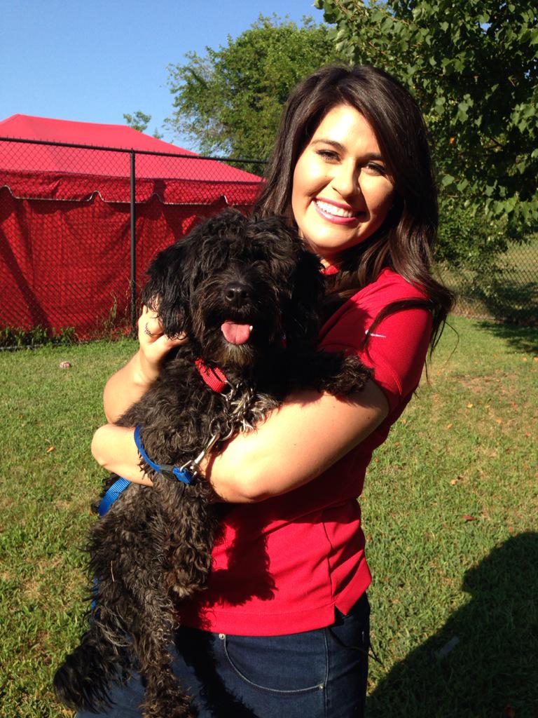 Freddy is a 1 year old Poodle mix,  $80 and he can be a member of your family! Meet him at 5:30 #ClearTheShelters