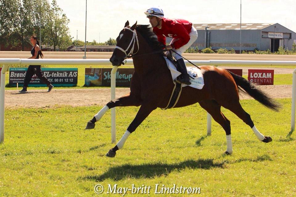 marcstottracing's tweet photo. Skimp took his first today at Odense! http://t.co/9vvsPQn6LY