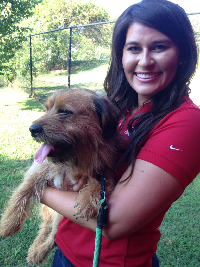 Scrappy is a terrier mix and very lovable! This little guy is available meet him coming up at 6 #ClearTheShelters