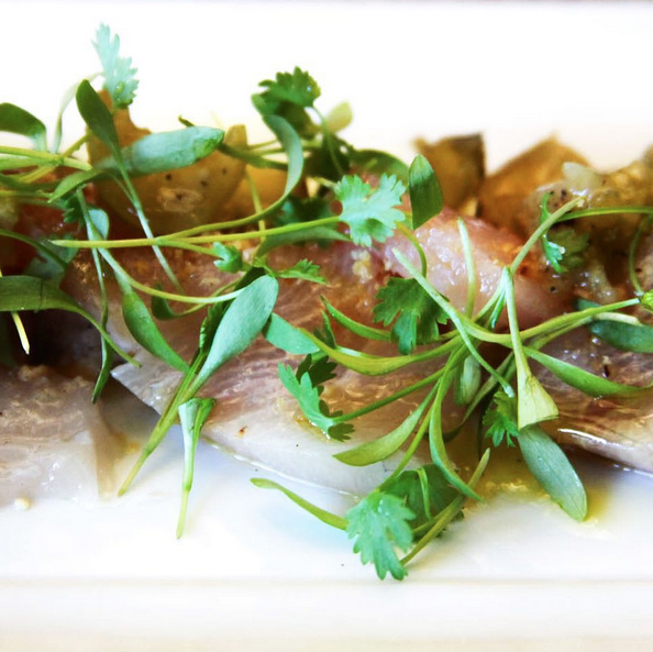 Summer is our specialty. Cool off with our hamachi crudo: charred tomatillo, jicama, coriander, &amp; chile de arbol.