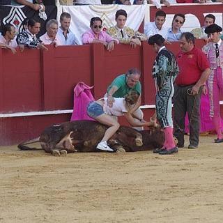 Spain: Activist Jumps into Bullfighting Ring to Comfort Dying Bull

thedo.do/1MoN13e

@rickygervais