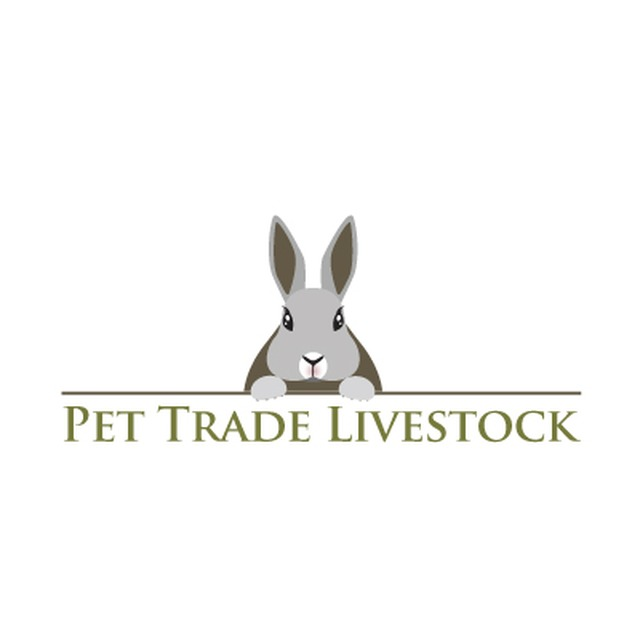 PETTRADE_LIVEST's tweet photo. http://t.co/ZKzZxHQRhc