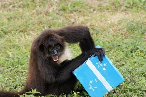 Cutest Animals tweet media