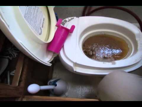 RottenBusDriver's tweet photo. I would like to thank the nasty son of a bitch that clogged the bus toilet. #Rule#1 #EatShitandDie http://t.co/WkRKoqaYHA