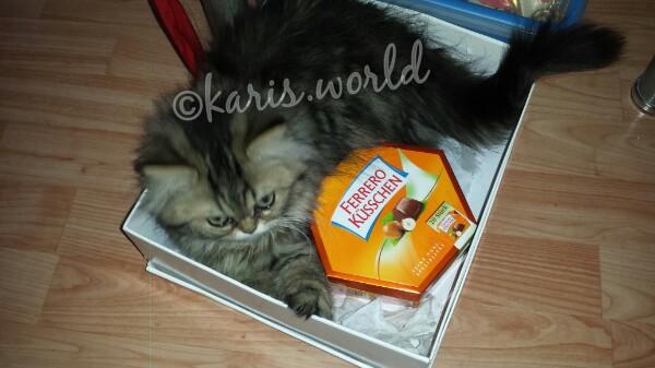 Good #friends  are you a kiss. a #nice #weekend  #everyone . ❤