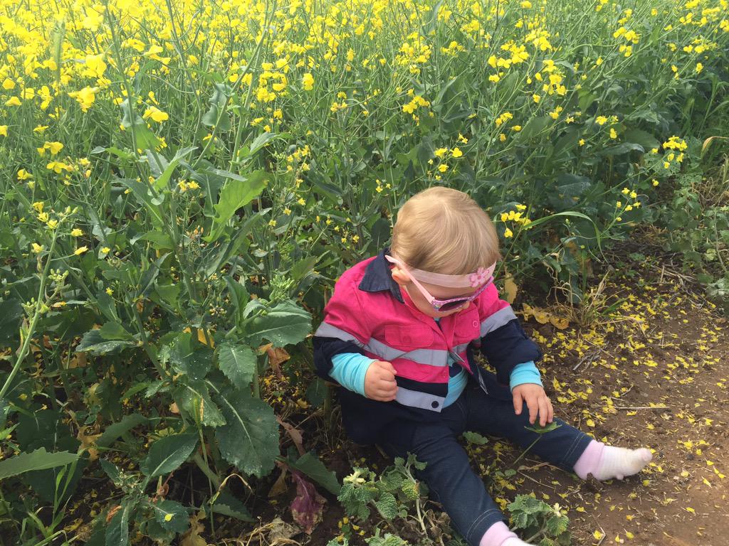 ymandiesel's tweet image. My little girl inspecting Dad's #TTStingray #paddockpride #epag @guinnipig @aemurray91 @AgCactus  @EmuPlain