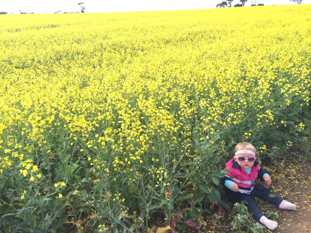 ymandiesel's tweet image. My little girl inspecting Dad's #TTStingray #paddockpride #epag @guinnipig @aemurray91 @AgCactus  @EmuPlain