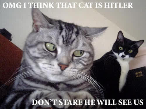nicoleZane4's tweet photo. LOL http://t.co/jq89N6DpcO