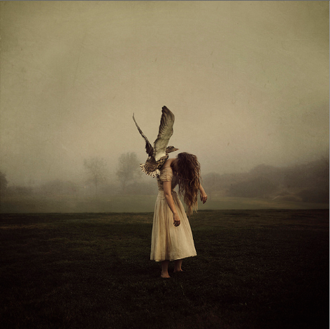 thisismuseum's tweet photo. #Art and an #interview from Brooke Shaden:

http://t.co/UlaFfNyDTi

#photography http://t.co/hZ0AeAvbhG