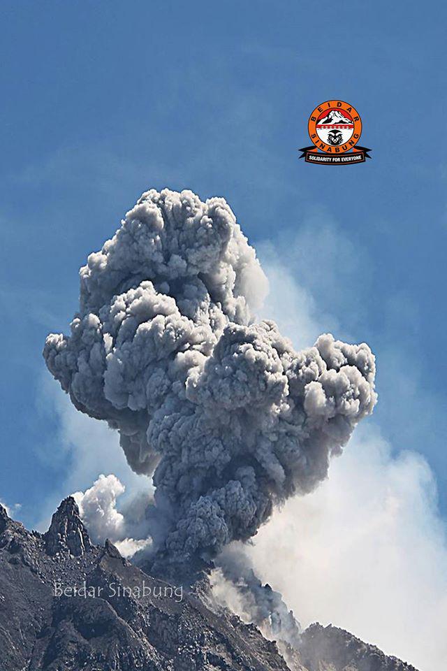 Leopold Kennedy Adam tweet media