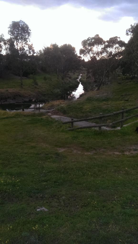 FOKCreek's tweet photo. A little bit of bush in #sunshine in #melbswest. http://t.co/qZGOspeCC8