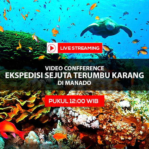 LIPUTAN6 tweet media