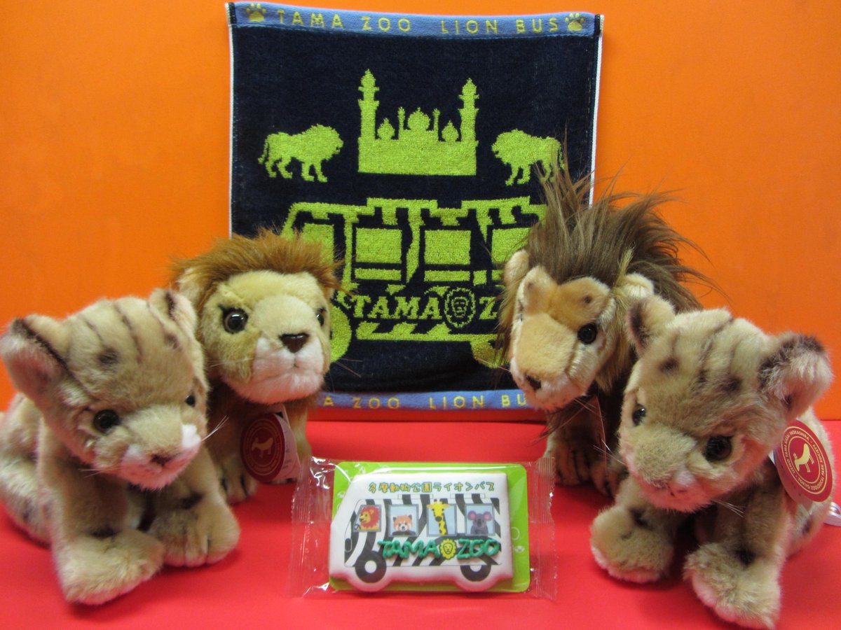 多摩動物公園 公式 ギフトショップでは 当園のシンボルマークにもなっているライオン のぬいぐるみを色々と取り揃えております 13日より公開されたライオンの姉妹とショップの ライオンのあかちゃん ぬいぐるみ 1 944税込 とを見比べてみてください