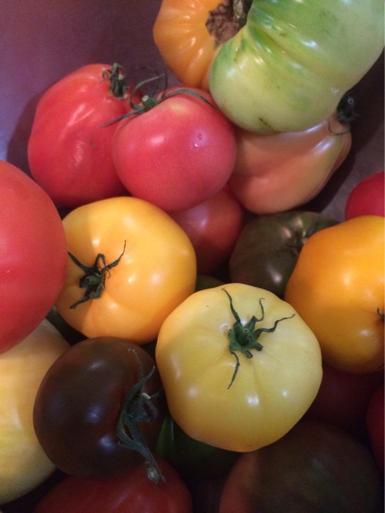 AmoreVictoria's tweet photo. Today's harvest #roofgarden #heirlooms #yum http://t.co/1VqOm8kFAo
