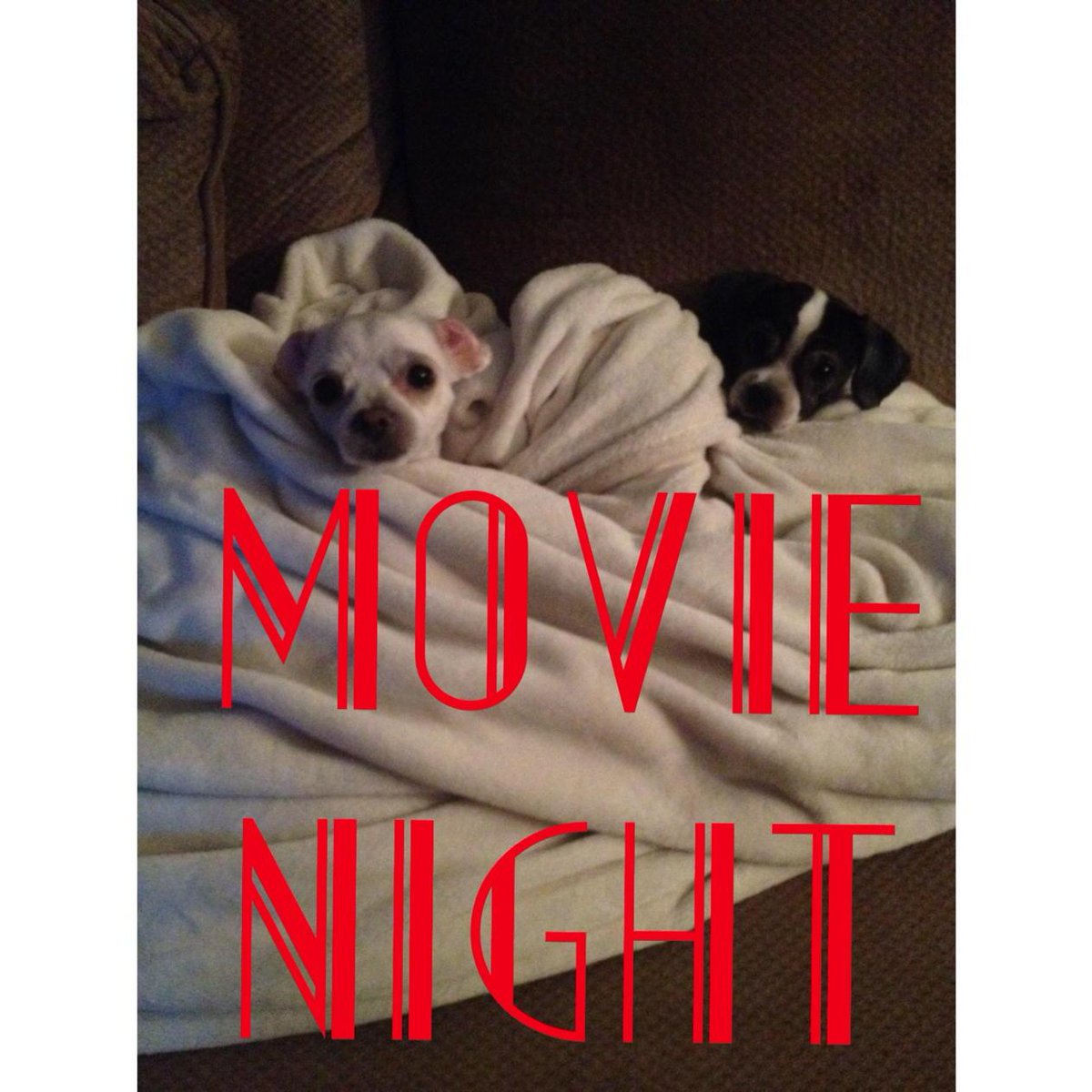 chrisloping's tweet image. #Movie_Night