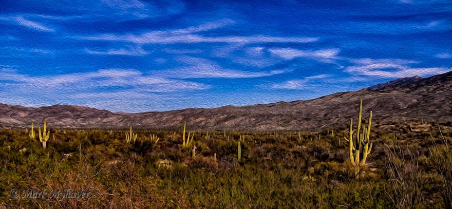 Myhaverphoto's tweet photo. What's On Your Walls? #photography by Mark E Myhaver #myhaverphotography #wall #decor #art http://t.co/2pxn51EnIh http://t.co/eFLF0l0kVk