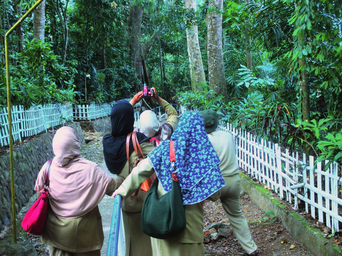 identifikasi pohon di lokasi arboretum desa