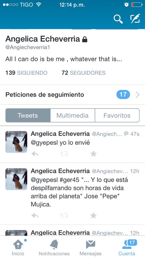 Angiecheverria1's tweet photo. @gyepesl #ger45 tenía la cuenta bloqueada http://t.co/xQ0xI6mmsh
